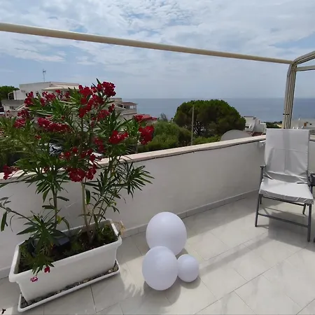 Bella Vista - B11 Pelicano1